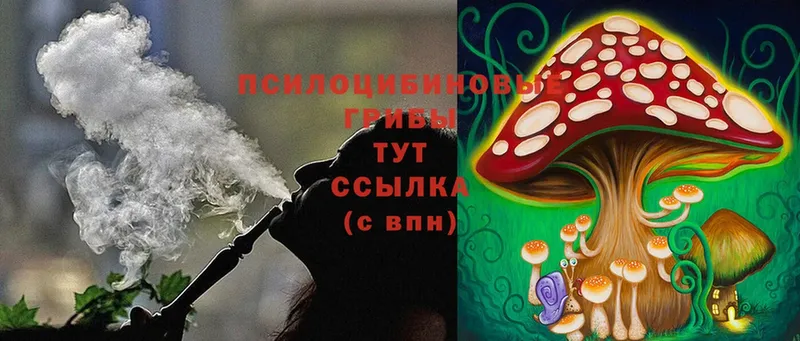 Галлюциногенные грибы Magic Shrooms  купить  сайты  Пущино 